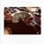 Gloria Crivelli's profile image