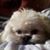 Ariel Ludwig's profile image