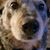 Diane Wessel's profile image