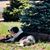 Mary Mohr-Lang's profile image