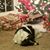 Mary Wiseman Ross's profile image