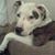 Cathy Garza's profile image