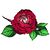 Christina Fennewald McCormack's profile image