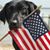 Karen LaGier Luce's profile image