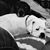 Pam Hartz's profile image