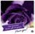 Dianne Patterson's profile image