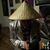 Nick Nam's profile image