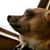 Tiffany Arrant's profile image