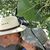 Christine Ottaviano Shestak's profile image