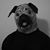 Pedro Uribe Godoy's profile image