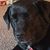 Abby Quinny's profile image