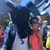 Meghan Campbell's profile image