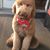 Joanne Lees Mierzejewski's profile image