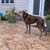 Leisa Tucker Nickolson's profile image