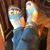 Kathi Gottenbos's profile image