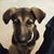 Robby Guilfoyle's profile image