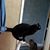 Judy F Foster-Lawson's profile image