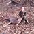 Alex Steffey's profile image