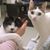 SaSa Choy's profile image