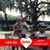 Sherri Butler Ryan's profile image