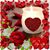 Kelly Kreger Paulson's profile image