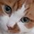 Penny Messahel's profile image