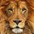 Luis Rodriguez's profile image