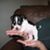 Nana Clay's profile image