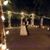 Jewels Von Rabenau's profile image