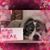 Tammy Odell Goforth's profile image
