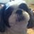 Jennifer Crum's profile image