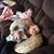 Amanda Alger Rice's profile image