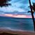 Vicki Foreman's profile image