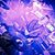 Joel Quina's profile image