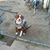 Steve Nate Dishman's profile image