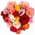 Stephanie Lawrence's profile image