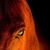 Victoria Schuller's profile image