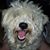 Michele Walstrum's profile image