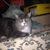 Yvonne L Baumgardner's profile image