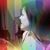 Abbey Wollschleger's profile image