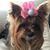 Robin Helseth Johnson's profile image
