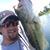 Teresa Boyles's profile image