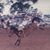 Bart Collins's profile image