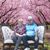 Susan R. Nieves Rodriguez's profile image