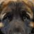 Todd Greene's profile image
