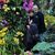 Rona Schmidt's profile image