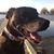 Kristine Pritchett's profile image