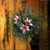 Judy Minter's profile image