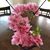 Elaine Milam's profile image