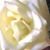 Judy Linney's profile image